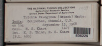 Image Associated With the Occurence